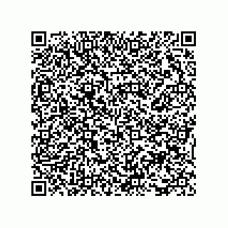 vCard 73816335410