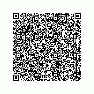 vCard 73816335411