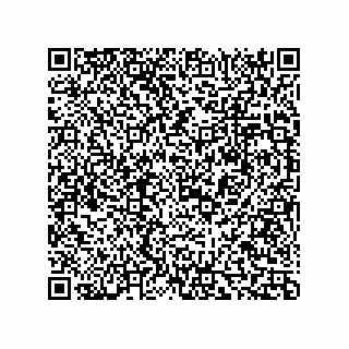 vCard 73816732100