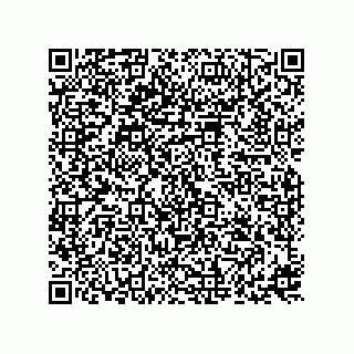 vCard 73816838131
