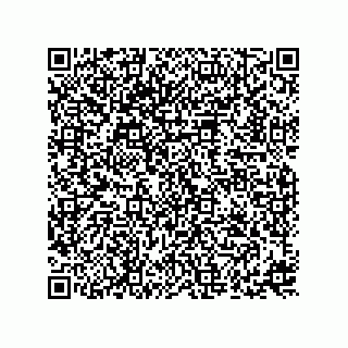 vCard 73816838225