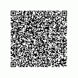 vCard 73816838300