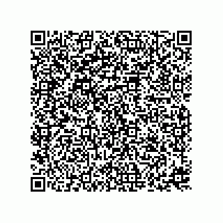 vCard 73816838321