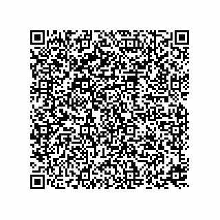 vCard 73816838336