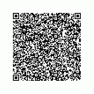vCard 73817152110