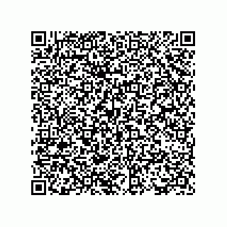 vCard 73817223333