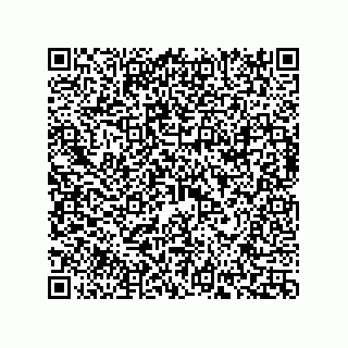 vCard 73817351002