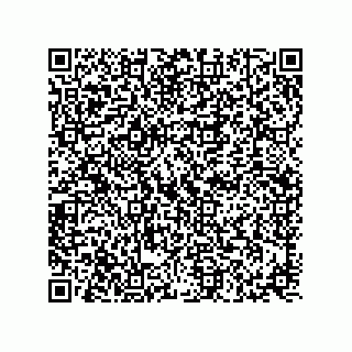 vCard 73817351111