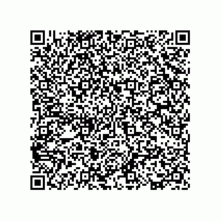vCard 73817351135