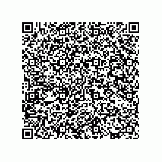 vCard 73817351296