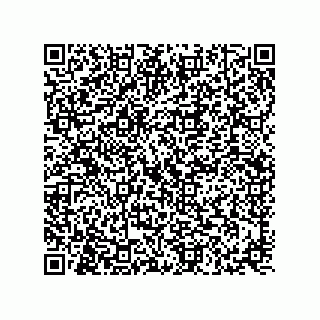 vCard 73817351311