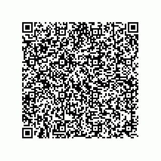 vCard 73817351333