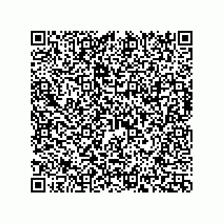 vCard 73817351360
