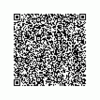 vCard 73817351379