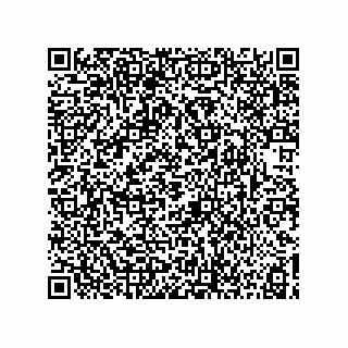 vCard 73817351381
