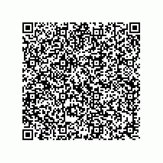 vCard 73817351399