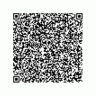 vCard 73817434313