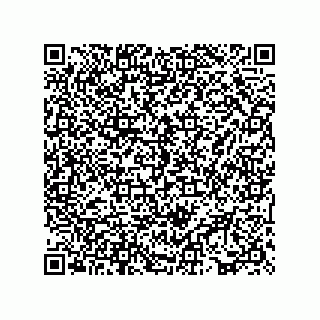 vCard 73817526133