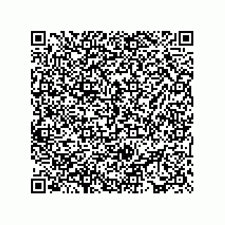 vCard 73817527333