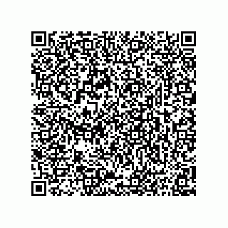 vCard 73817527391