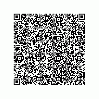 vCard 73822240002