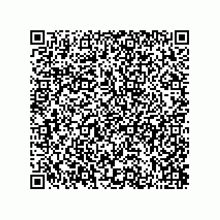 vCard 73822240004