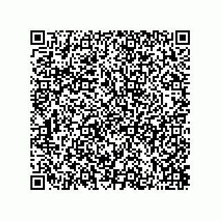 vCard 73822240005