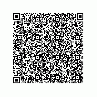 vCard 73822240009