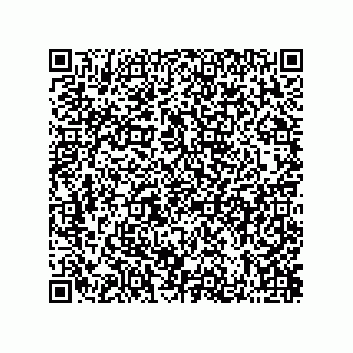 vCard 73822240011