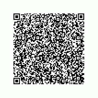 vCard 73822240013