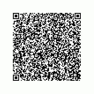 vCard 73822240019