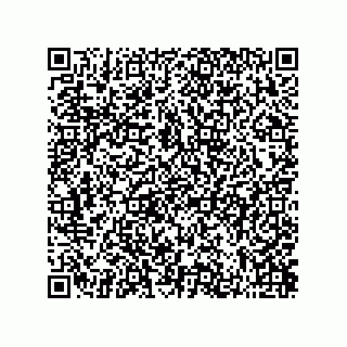 vCard 73822240020