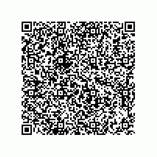 vCard 73822240029