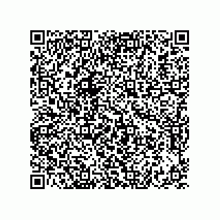 vCard 73822240031