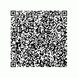 vCard 73822240035
