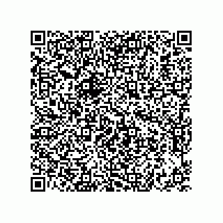 vCard 73822240040