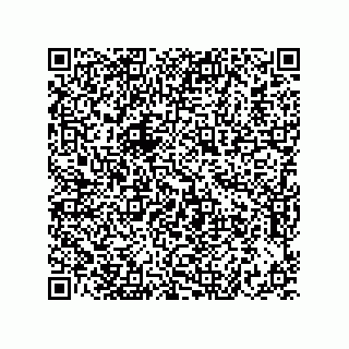 vCard 73822240041