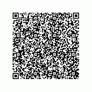 vCard 73822240042