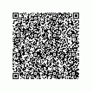vCard 73822240043