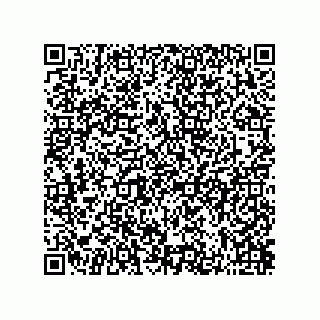 vCard 73822240049