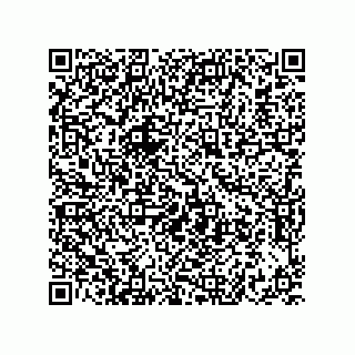 vCard 73822240052