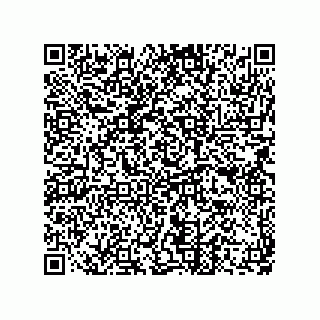 vCard 73822240060