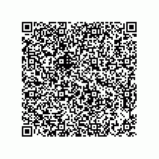 vCard 73822240074