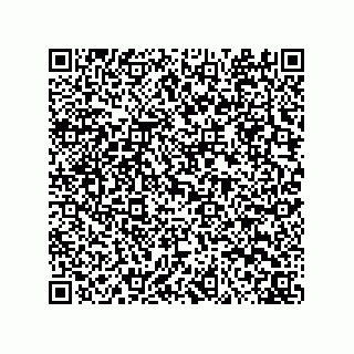 vCard 73822240081