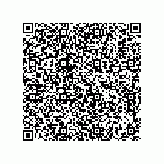 vCard 73822240085