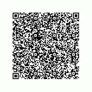 vCard 73822240091