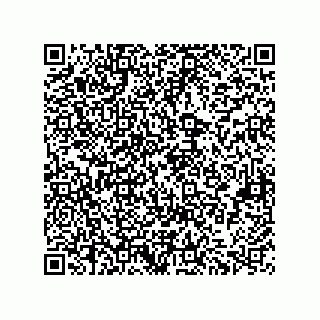 vCard 73822240109