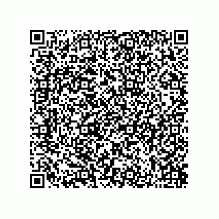 vCard 73822240113