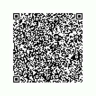vCard 73822240133