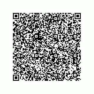 vCard 73822240137
